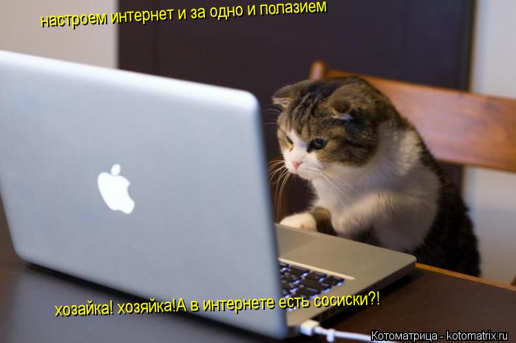 настроем интернет и за одно и полазием хозайка! хозяйка!А в интернете есть сосиски?!... Котоматрица: настроем интернет и за одно и полазием хозайка! хозяйка!А в интернете есть сосиски?!