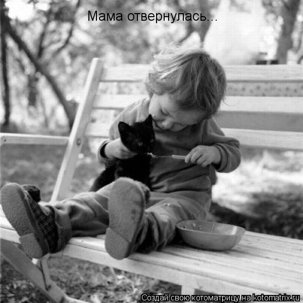 Мама отвернулась...... Котоматрица: Мама отвернулась...