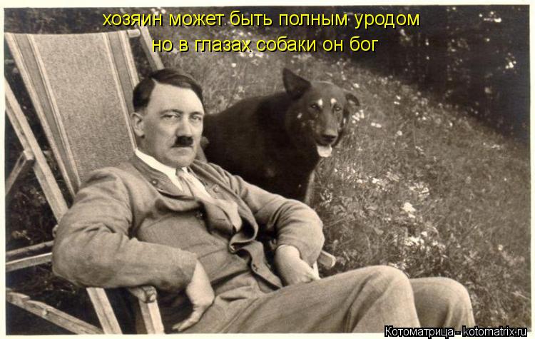 Котоматрица: хозяин может быть полным уродом но в глазах собаки он бог