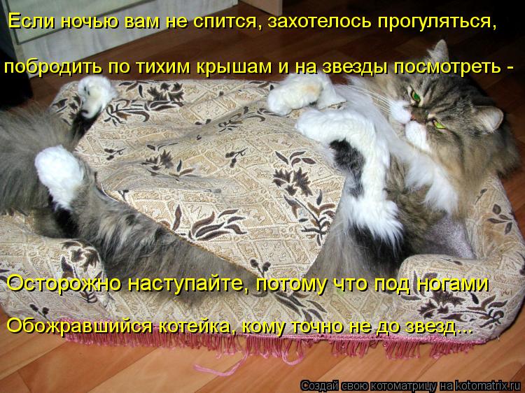 Осторожно наступайте, потому что под ногами Если ночью вам не спится, захотелось прогуляться, поброд... Котоматрица: Осторожно наступайте, потому что под ногами Если ночью вам не спится, захотелось прогуляться, побродить по тихим крышам и на звезды посмот