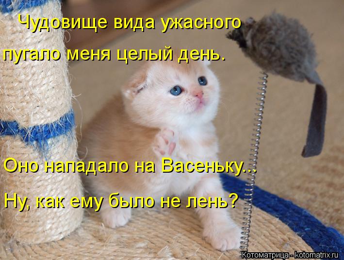 Чудовище вида ужасного пугало меня целый день. Ну, как ему было не лень? Оно нападало на Васеньку...... Котоматрица: Чудовище вида ужасного пугало меня целый день. Ну, как ему было не лень? Оно нападало на Васеньку...