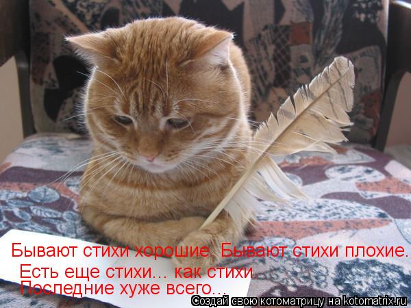 Бывают стихи хорошие. Бывают стихи плохие. Есть еще стихи... как стихи. Последние-хуже всего. Есть е... Котоматрица: Бывают стихи хорошие. Бывают стихи плохие. Есть еще стихи... как стихи. Последние-хуже всего. Есть еще стихи... как стихи. Последние хуже всег