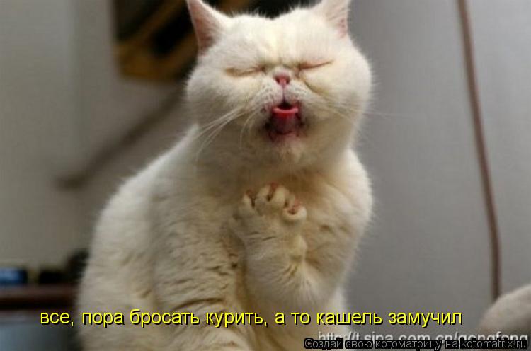 все, пора бросать курить, а то кашель замучил... Котоматрица: все, пора бросать курить, а то кашель замучил