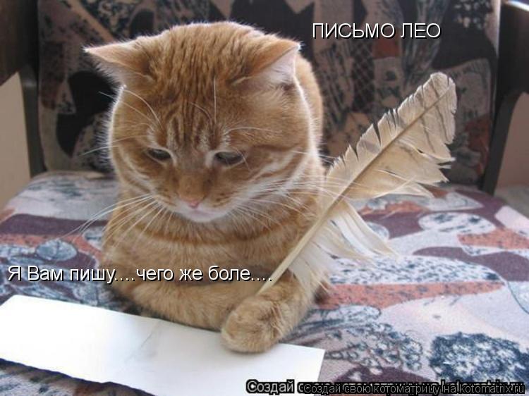 ПИСЬМО ЛЕО Я Вам пишу....чего же боле....... Котоматрица: ПИСЬМО ЛЕО Я Вам пишу....чего же боле....