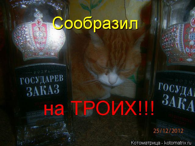 Сообразил на ТРОИХ!!!... Котоматрица: Сообразил на ТРОИХ!!!