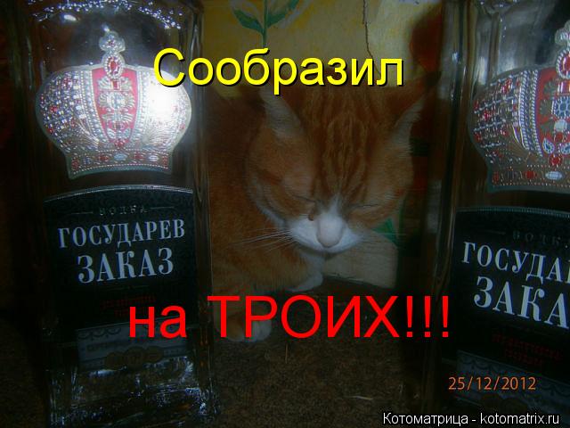 Котоматрица: Сообразил на ТРОИХ!!!