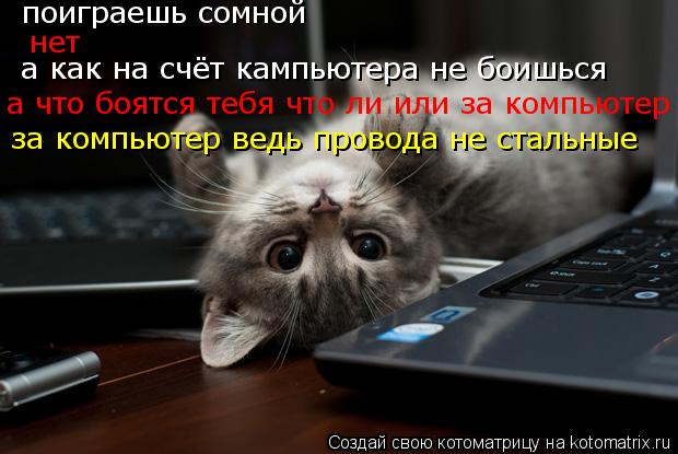 поиграешь сомной нет а как на счёт кампьютера не боишься а что боятся тебя что ли или за компьютер з... Котоматрица: поиграешь сомной нет а как на счёт кампьютера не боишься а что боятся тебя что ли или за компьютер за компьютер ведь провода не стальные