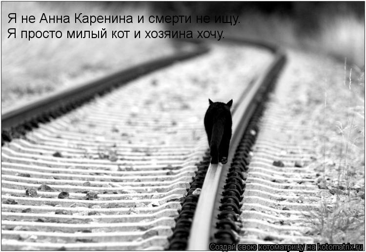Я не Анна Каренина и смерти не ищу. Я просто милый кот и хозяина хочу.... Котоматрица: Я не Анна Каренина и смерти не ищу. Я просто милый кот и хозяина хочу.