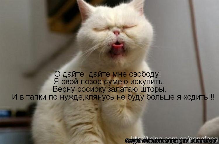 О дайте, дайте мне свободу! Я свой позор сумею искупить. Верну сосиску,залатаю шторы. И в тапки по ну... Котоматрица: О дайте, дайте мне свободу! Я свой позор сумею искупить. Верну сосиску,залатаю шторы. И в тапки по нужде,клянусь,не буду больше я ходить!!!