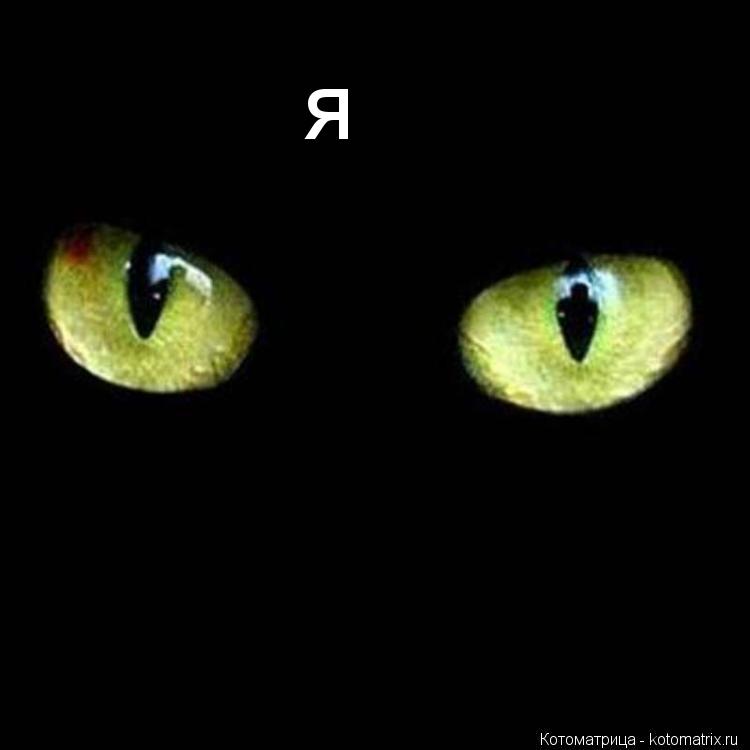 я... Котоматрица: я
