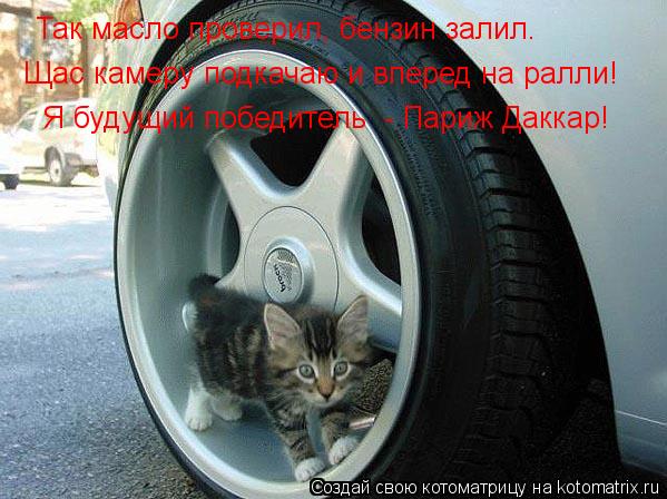 Так масло проверил, бензин залил. Щас камеру подкачаю и вперед на ралли! Я будущий победитель - Пари... Котоматрица: Так масло проверил, бензин залил. Щас камеру подкачаю и вперед на ралли! Я будущий победитель - Париж Даккар!