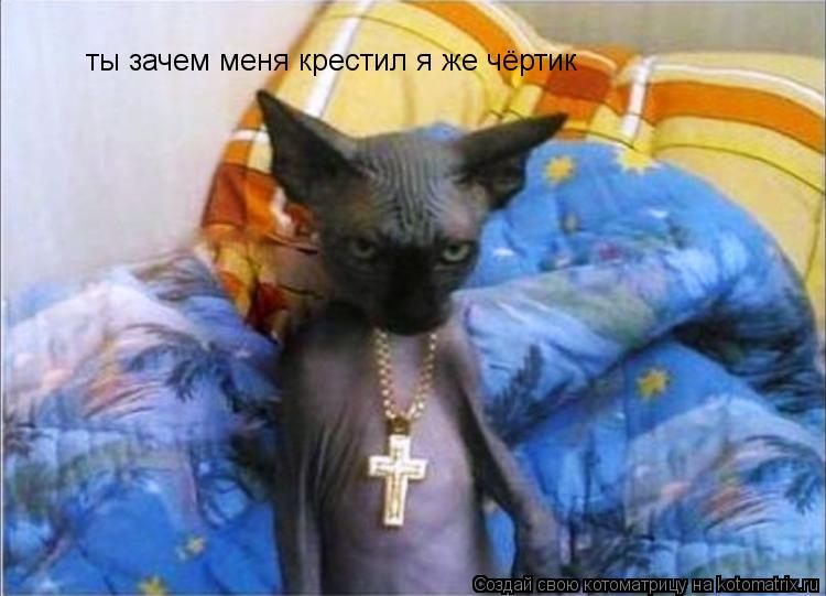 ты зачем меня крестил я же чёртик... Котоматрица: ты зачем меня крестил я же чёртик