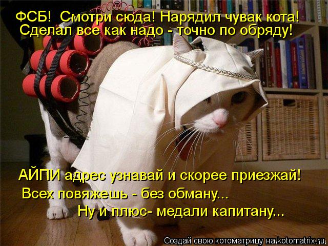 ФСБ! Смотри сюда! Нарядил чувак кота! Сделал все как надо - точно по обряду! АЙПИ адрес узнавай и ск... Котоматрица: ФСБ! Смотри сюда! Нарядил чувак кота! Сделал все как надо - точно по обряду! АЙПИ адрес узнавай и скорее приезжай! Всех повяжешь - без обману...