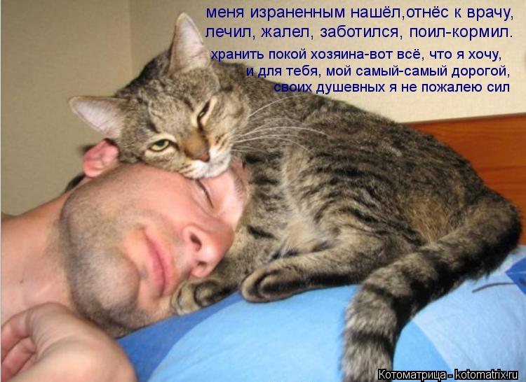 меня израненным нашёл,отнёс к врачу, лечил, жалел, заботился, поил-кормил. и для тебя, мой самый-самы... Котоматрица: меня израненным нашёл,отнёс к врачу, лечил, жалел, заботился, поил-кормил. и для тебя, мой самый-самый дорогой, своих душевных я не пожалею си