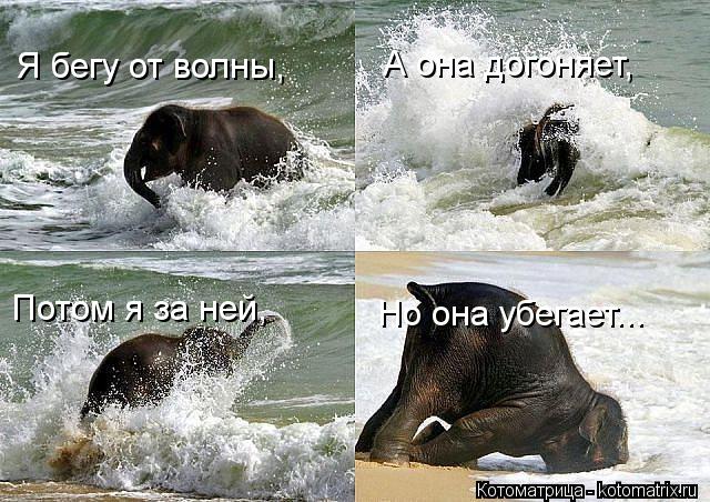 Потом я за ней, Но она убегает... Я бегу от волны, А она догоняет,... Котоматрица: Потом я за ней, Но она убегает... Я бегу от волны, А она догоняет,