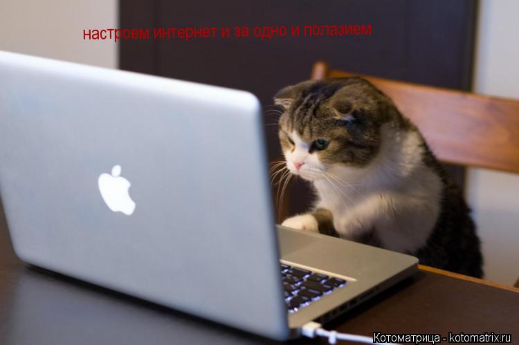 настроем интернет и за одно и полазием... Котоматрица: настроем интернет и за одно и полазием