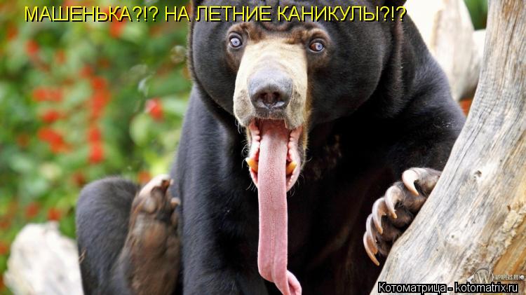 МАШЕНЬКА?!? НА ЛЕТНИЕ КАНИКУЛЫ?!?... Котоматрица: МАШЕНЬКА?!? НА ЛЕТНИЕ КАНИКУЛЫ?!?