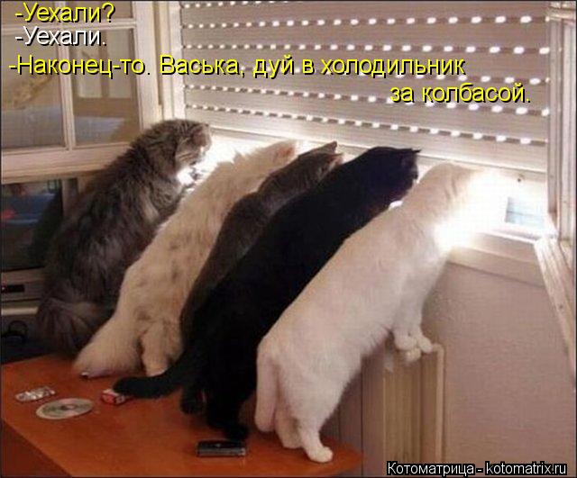 -Уехали? -Уехали. -Наконец-то. Васька, дуй в холодильник за колбасой.... Котоматрица: -Уехали? -Уехали. -Наконец-то. Васька, дуй в холодильник за колбасой.