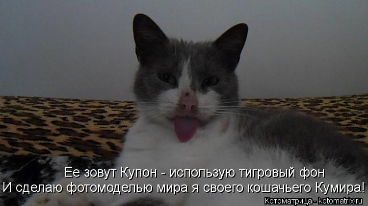 Ее зовут Купон - использую тигровый фон И сделаю фотомоделью мира я своего кошачьего Кумира!... Котоматрица: Ее зовут Купон - использую тигровый фон И сделаю фотомоделью мира я своего кошачьего Кумира!