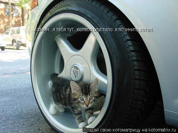 Хозяин...я тебя тут...колесо спустило..я починить хотел..... Котоматрица: Хозяин...я тебя тут...колесо спустило..я починить хотел..