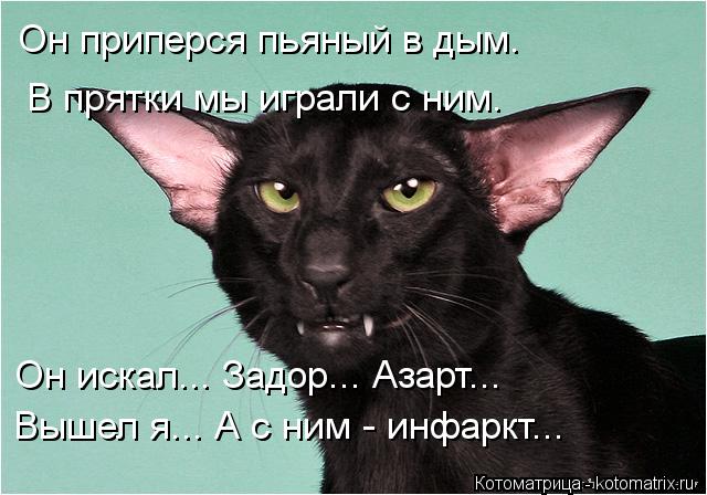 Он приперся пьяный в дым. В прятки мы играли с ним. Вышел я... А с ним - инфаркт... Он искал... Задо... Котоматрица: Он приперся пьяный в дым. В прятки мы играли с ним. Вышел я... А с ним - инфаркт... Он искал... Задор... Азарт...
