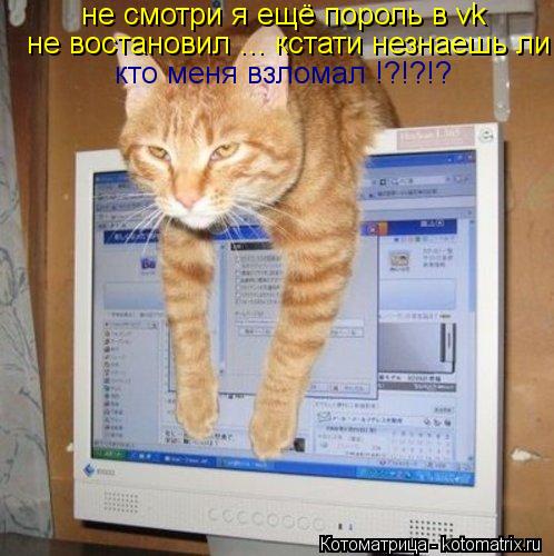не смотри я ещё пороль в vk не востановил ... кстати незнаешь ли кто меня взломал !?!?!?... Котоматрица: не смотри я ещё пороль в vk не востановил ... кстати незнаешь ли кто меня взломал !?!?!?