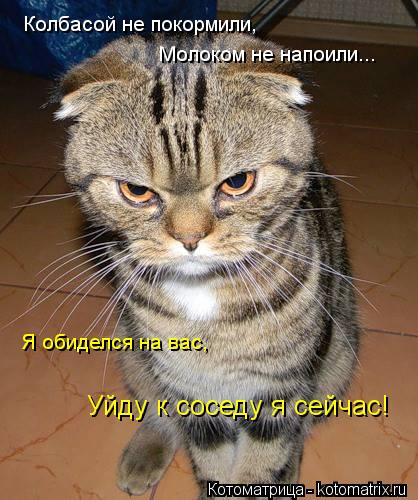 Колбасой не покормили, Молоком не напоили... Я обиделся на вас, Уйду к соседу я сейчас!... Котоматрица: Колбасой не покормили, Молоком не напоили... Я обиделся на вас, Уйду к соседу я сейчас!
