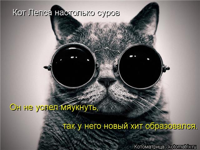 Кот Лепса настолько суров Он не успел мяукнуть, так у него новый хит образовался.... Котоматрица: Кот Лепса настолько суров Он не успел мяукнуть, так у него новый хит образовался.
