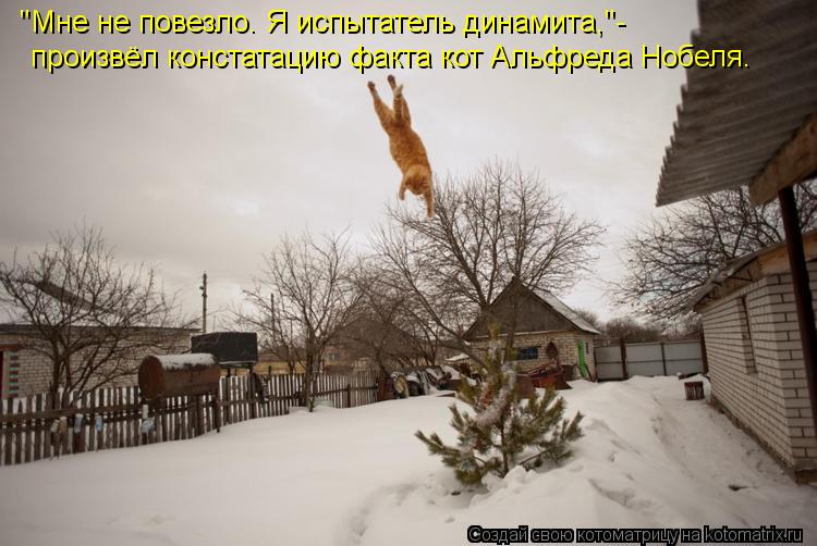 "Мне не повезло. Я испытатель динамита,"- произвёл констатацию факта кот Альфреда Нобеля.... Котоматрица: "Мне не повезло. Я испытатель динамита,"- произвёл констатацию факта кот Альфреда Нобеля.