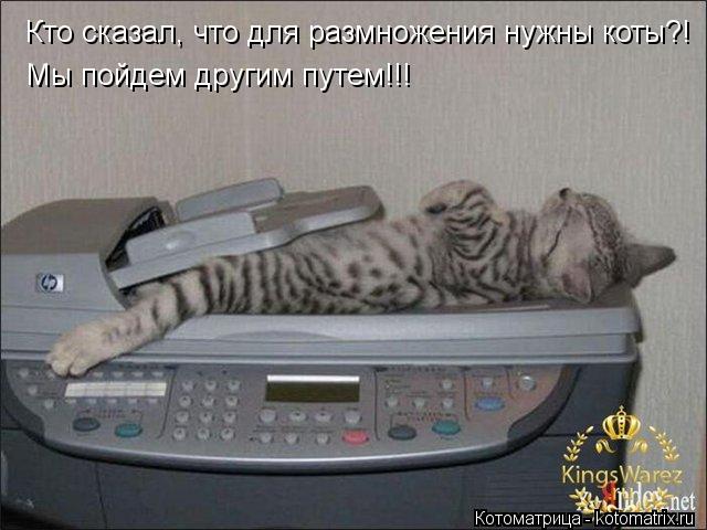 Кто сказал, что для размножения нужны коты?! Мы пойдем другим путем!!!... Котоматрица: Кто сказал, что для размножения нужны коты?! Мы пойдем другим путем!!!