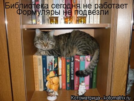 Библиотека сегодня не работает Формуляры не подвезли... Котоматрица: Библиотека сегодня не работает Формуляры не подвезли
