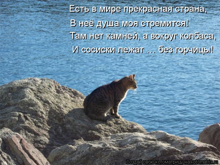 Там нет камней, а вокруг колбаса, Есть в мире прекрасная страна, В неё душа моя стремится! И сосиски ... Котоматрица: Там нет камней, а вокруг колбаса, Есть в мире прекрасная страна, В неё душа моя стремится! И сосиски лежат … без горчицы!