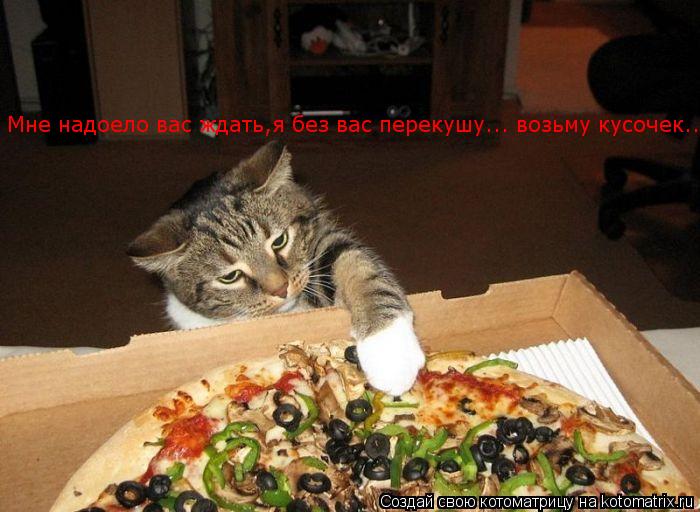 Мне надоело вас ждать,я без вас перекушу... возьму кусочек..... Котоматрица: Мне надоело вас ждать,я без вас перекушу... возьму кусочек..