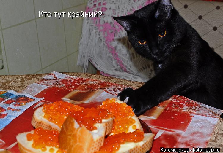Кто тут крайний?... Котоматрица: Кто тут крайний?