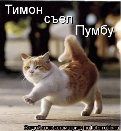Тимон съел Пумбу... Котоматрица: Тимон съел Пумбу