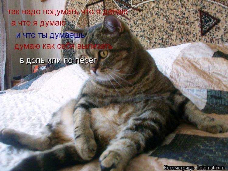 так надо подумать что я делаю а что я думаю и что ты думаешь думаю как себя вылизать в доль или по пе... Котоматрица: так надо подумать что я делаю а что я думаю и что ты думаешь думаю как себя вылизать в доль или по перёг