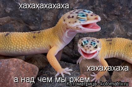 хахахахахаха хахахахаха а над чем мы ржем... Котоматрица: хахахахахаха хахахахаха а над чем мы ржем