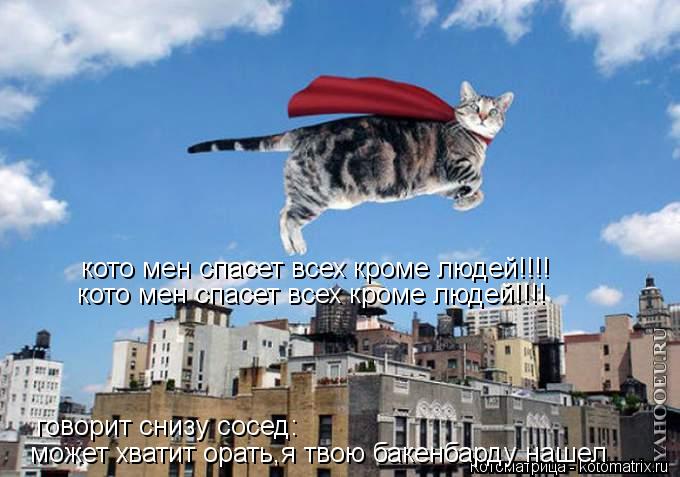 Котоматрица: кото мен спасет всех кроме людей!!!! кото мен спасет всех кроме людей!!!! может хватит орать,я твою бакенбарду нашел говорит снизу сосед: