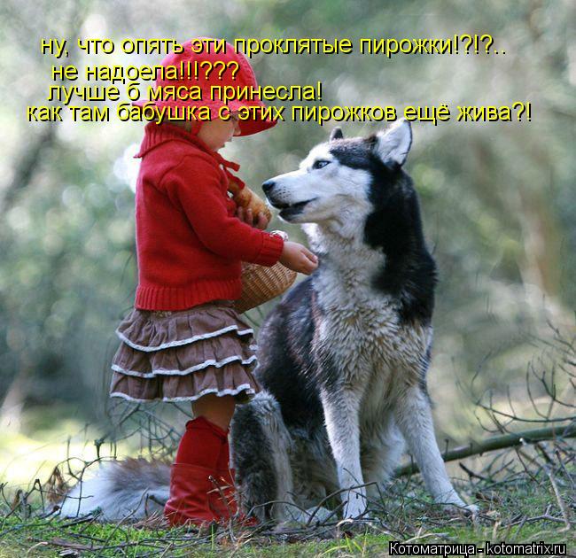 ну, что опять эти проклятые пирожки!?!?.. не надоела!!!??? лучше б мяса принесла! как там бабушка с э... Котоматрица: ну, что опять эти проклятые пирожки!?!?.. не надоела!!!??? лучше б мяса принесла! как там бабушка с этих пирожков ещё жива?!