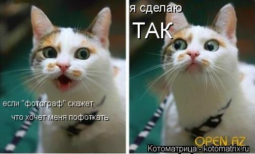 если "фотограф" скажет что хочет меня пофоткать я сделаю ТАК... Котоматрица: если "фотограф" скажет что хочет меня пофоткать я сделаю ТАК
