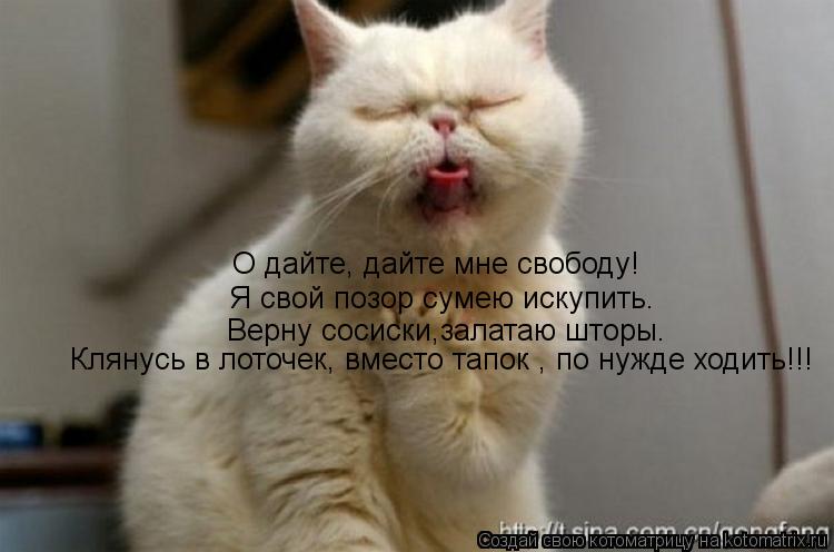О дайте, дайте мне свободу! Я свой позор сумею искупить. Верну сосиски,залатаю шторы. Клянусь в лоточ... Котоматрица: О дайте, дайте мне свободу! Я свой позор сумею искупить. Верну сосиски,залатаю шторы. Клянусь в лоточек, вместо тапок , по нужде ходить!!!