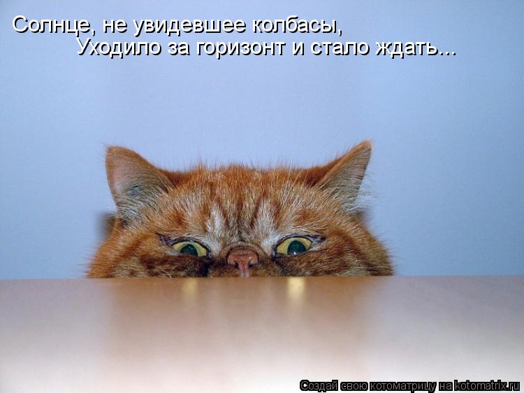 Солнце, не увидевшее колбасы, Уходило за горизонт и стало ждать...... Котоматрица: Солнце, не увидевшее колбасы, Уходило за горизонт и стало ждать...