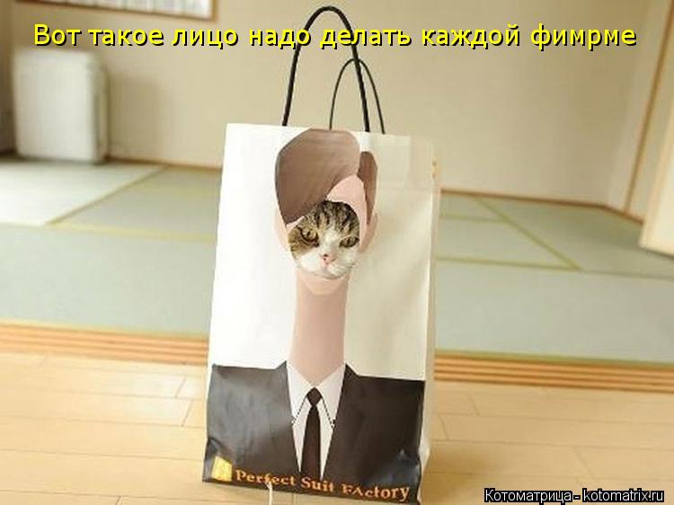 Вот такое лицо надо делать каждой фимрме... Котоматрица: Вот такое лицо надо делать каждой фимрме