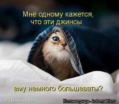 Мне одному кажется, что эти джинсы ему немного большеваты?... Котоматрица: Мне одному кажется, что эти джинсы ему немного большеваты?