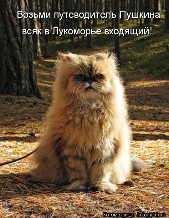 Возьми путеводитель Пушкина всяк в Лукоморье входящий!... Котоматрица: Возьми путеводитель Пушкина всяк в Лукоморье входящий!