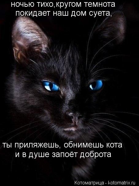 ночью тихо,кругом темнота и в душе запоёт доброта ты приляжешь, обнимешь кота покидает наш дом суета,... Котоматрица: ночью тихо,кругом темнота и в душе запоёт доброта ты приляжешь, обнимешь кота покидает наш дом суета,