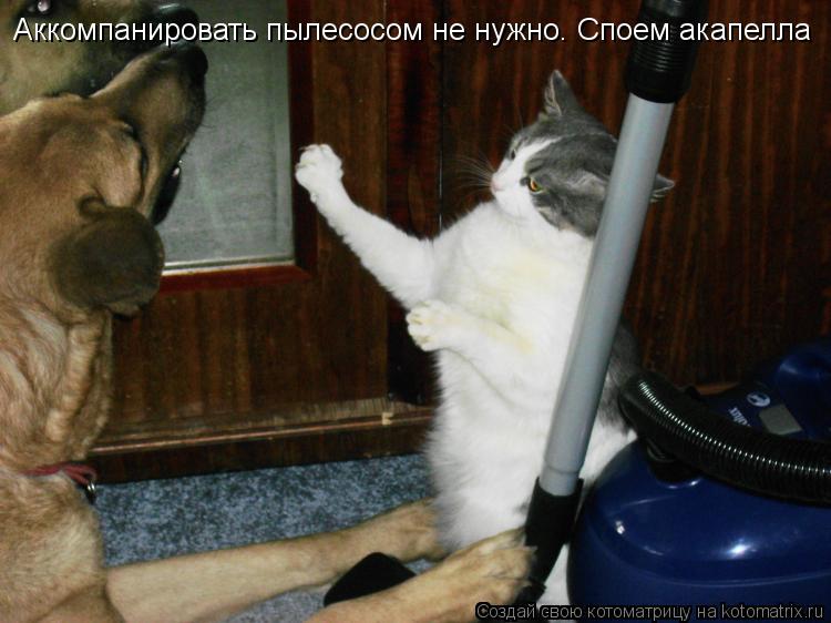 Аккомпанировать пылесосом не нужно. Споем акапелла... Котоматрица: Аккомпанировать пылесосом не нужно. Споем акапелла