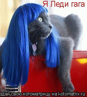 Я Леди гага... Котоматрица: Я Леди гага