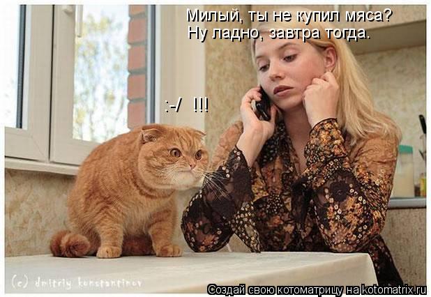 Милый, ты не купил мяса? Ну ладно, завтра тогда. :-/ !!!... Котоматрица: Милый, ты не купил мяса? Ну ладно, завтра тогда. :-/ !!!