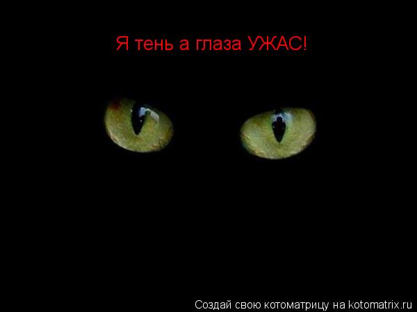 Я тень а глаза УЖАС!... Котоматрица: Я тень а глаза УЖАС!